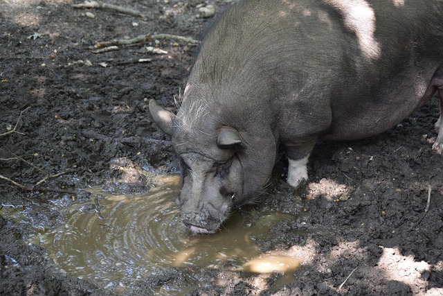 比赛中充满 比赛中充满