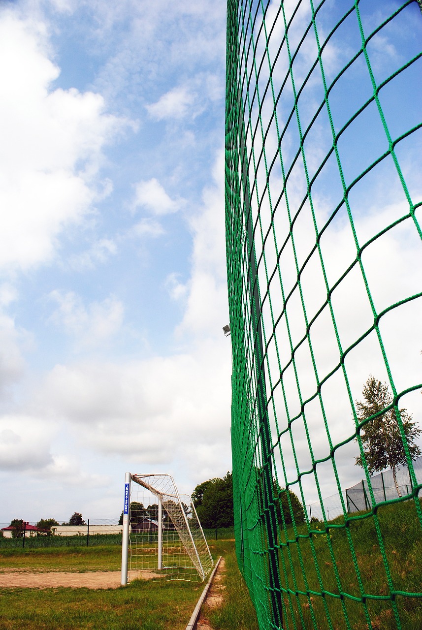 这一消息无 这一消息无