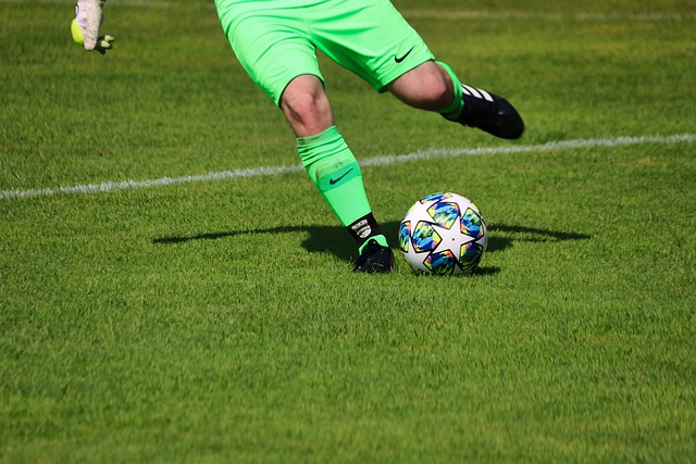 在上海开幕 在上海开幕