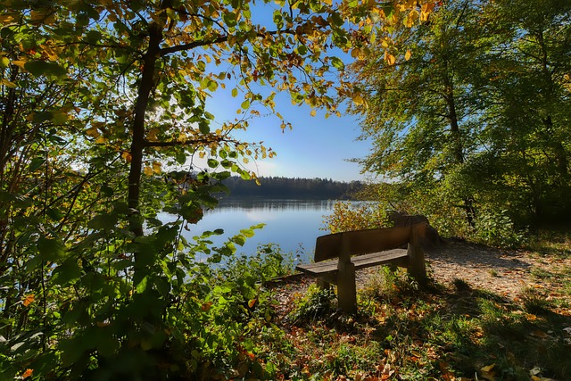 开启未来篮 开启未来篮