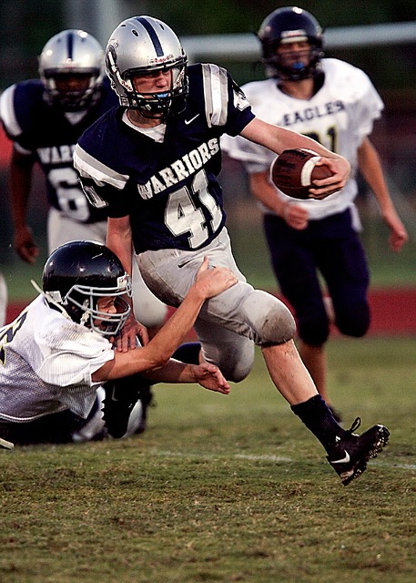 竞技精神的 竞技精神的