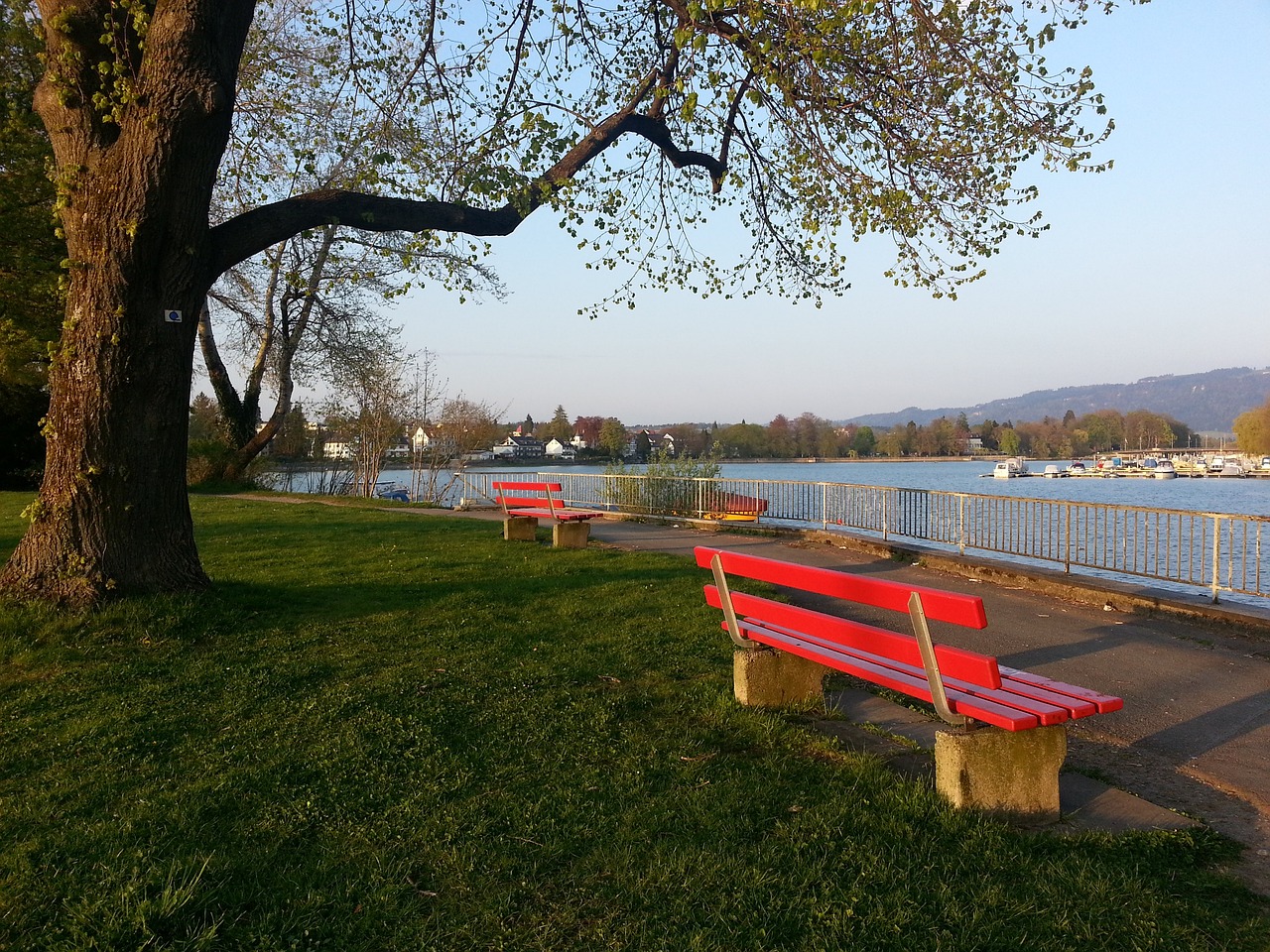 展提供了新 展提供了新