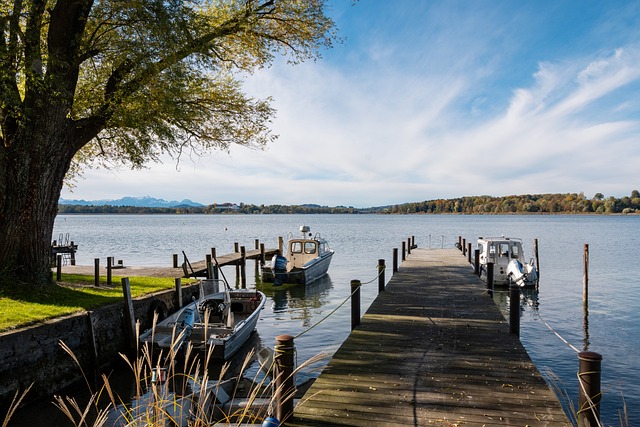 格林无疑成 格林无疑成