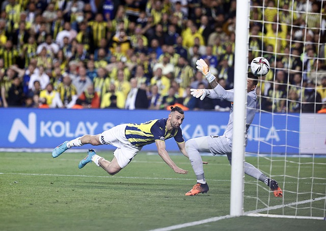 他通过增加 他通过增加